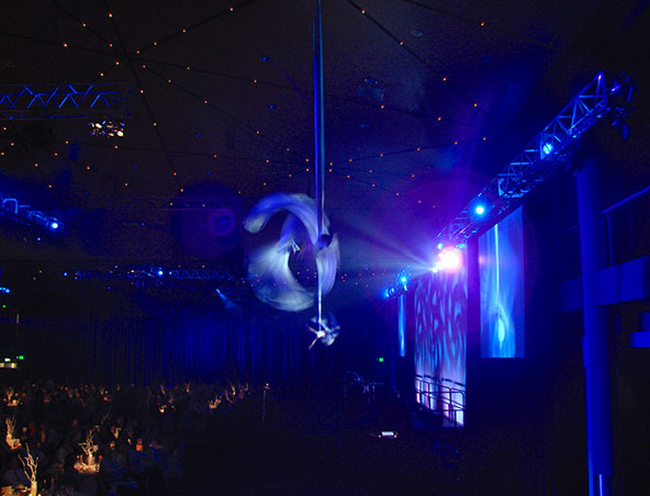 Aerialists Brisbane - Trapeze Artists - Aerial Entertainment Performers